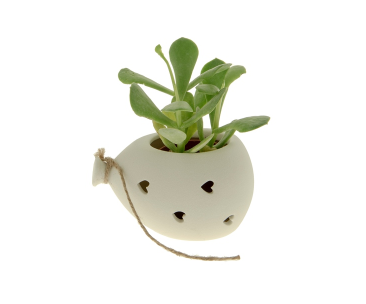 Regali e Bomboniere - Prodotti - Porta Piante - 12CM - BOLLA PORTA PIANTE