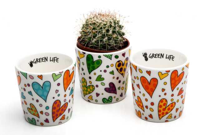 Regali e Bomboniere - Prodotti - Cuorematto SOLIDALE - PORTAPIANTINE GREEN LIFE 6X6