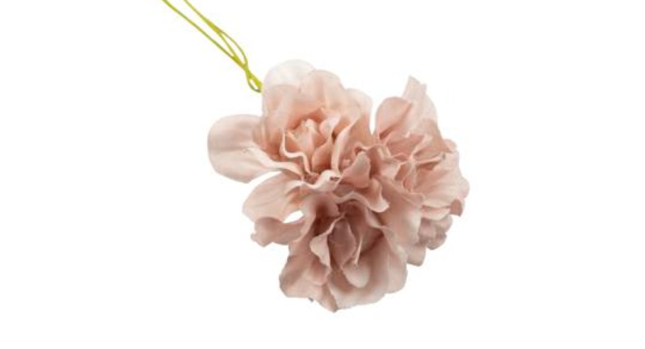 Regali e Bomboniere - Prodotti - Fiori - 3CM - ROSA - ROSA ANTICO