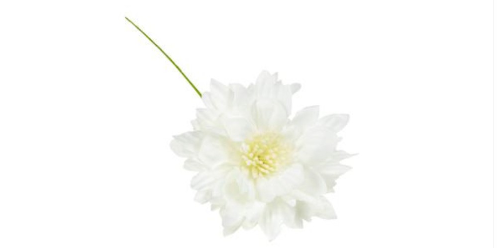 Regali e Bomboniere - Prodotti - Fiori - 5CM - FIORE CON PISTILLI - PANNA