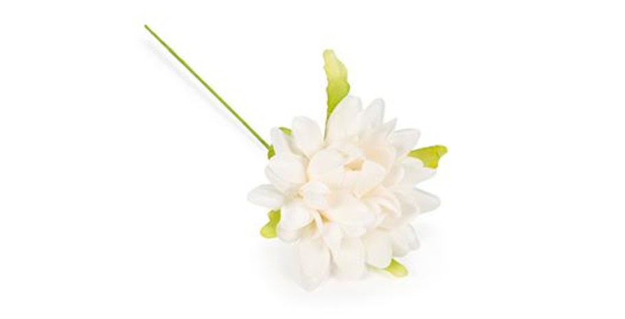 Regali e Bomboniere - Prodotti - Fiori - 4CM - NINFEA PICCOLA - PANNA