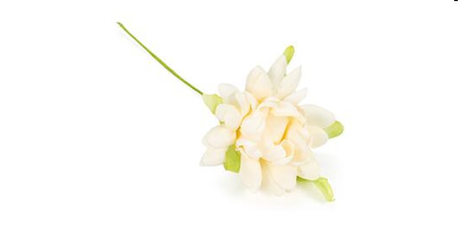Regali e Bomboniere - Prodotti - Fiori - 4CM - NINFEA PICCOLA - BEIGE