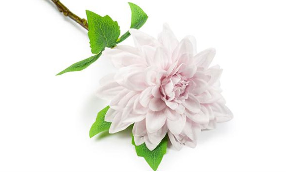 Regali e Bomboniere - Prodotti - Fiori - 13CM - H60CM - DALIA ROSA ANTICO