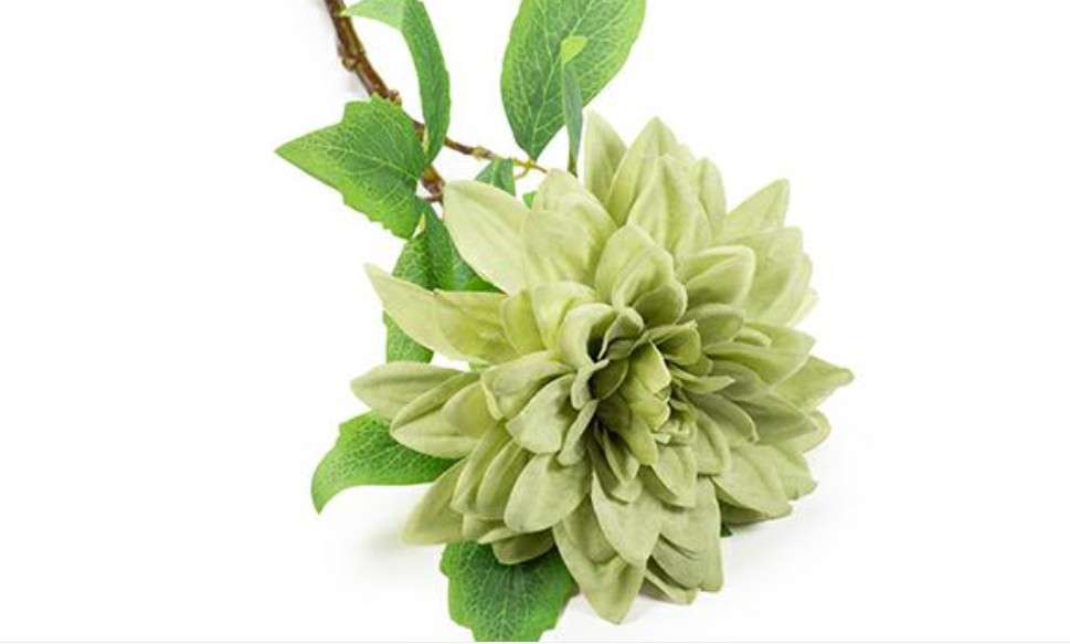 Regali e Bomboniere - Prodotti - Fiori - 13CM - H60CM - DALIA VERDE SALVIA
