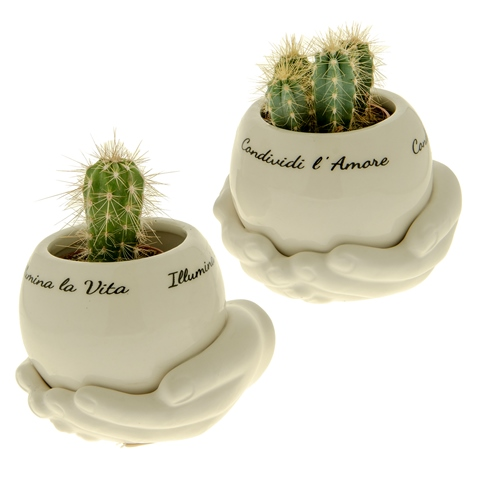 Regali e Bomboniere - Prodotti - Matrimonio - ILLUMINA PORTAPIANTE 11X8CM ASSORTITO