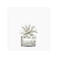 Regali e Bomboniere - Prodotti - MUHA - 60ML FLOWER DIFF. IRIS CIPRIATO
