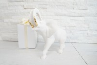 Regali e Bomboniere - Prodotti - Memory Regalo - 24X25CM ELEFANTE BIANCO polvere di marmo con box 