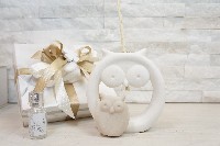 Regali e Bomboniere - Prodotti - Profumatori - DIFFUSORE 2 GUFI 11,5X12,5X6CM CON KIT ESSENZA CLARALUNA E BOX