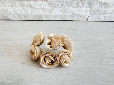 Regali e Bomboniere - Prodotti - Fiori - ROSELLINA CON PETALI STELLA BEIGE