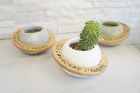 Regali e Bomboniere - Prodotti - Porta Piante - PORTA PIANTA VENERE DM. 13 CM colore assortito