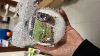 Regali e Bomboniere - Prodotti - Natale  - PALLINA DI NATALE CON FOTO PERSONALIZZATA 10CM