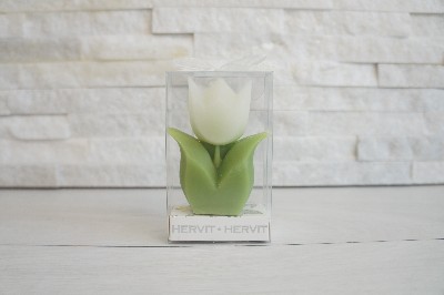 Regali e Bomboniere - Prodotti - Matrimonio - 6X3X8.5CM - CANDELA TULIPANO BIANCO - C/BOX PVC E NASTRO ORGANZA